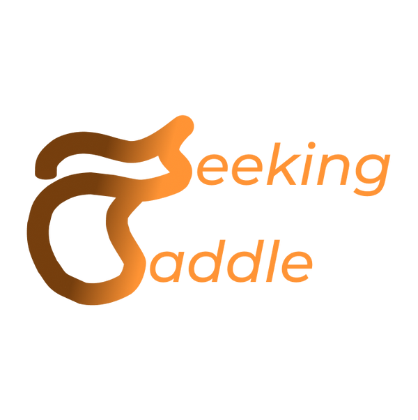 Seeking Saddle